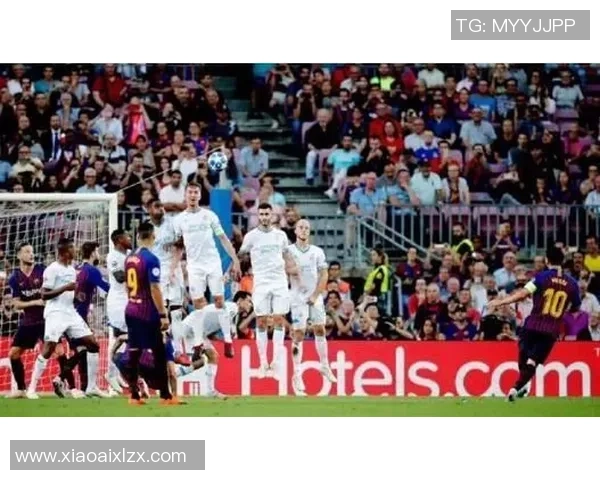 广州排球队的拼搏历程与荣耀时刻全景纪实 广州排球队的拼搏历程与荣耀时刻全景纪实