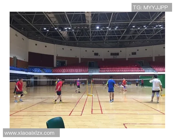杭州羽毛球队比赛经验分析与表现评估探讨 杭州羽毛球队比赛经验分析与表现评估探讨