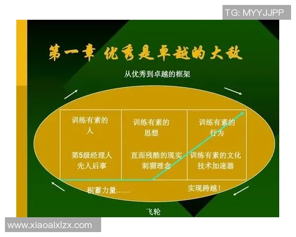 武汉羽毛球队在锦标赛中的卓越表现与力量分析 武汉羽毛球队在锦标赛中的卓越表现与力量分析