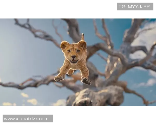 泰国黄毛足球明星的传奇故事与成就揭秘