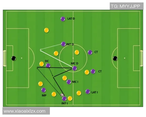 武汉篮球队技术分析与战术探讨：深度剖析球队优势与发展方向