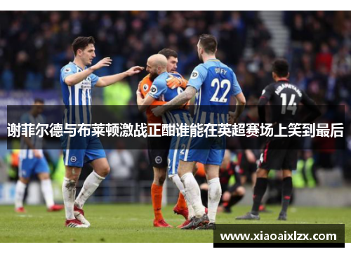 谢菲尔德与布莱顿激战正酣谁能在英超赛场上笑到最后